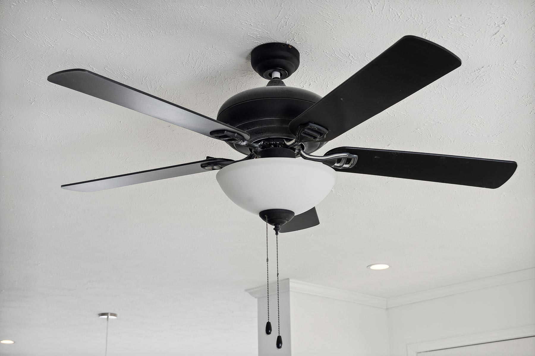 Black 5 Blade Fan (2)