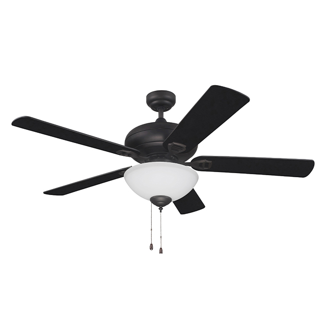 Black 5 Blade Fan