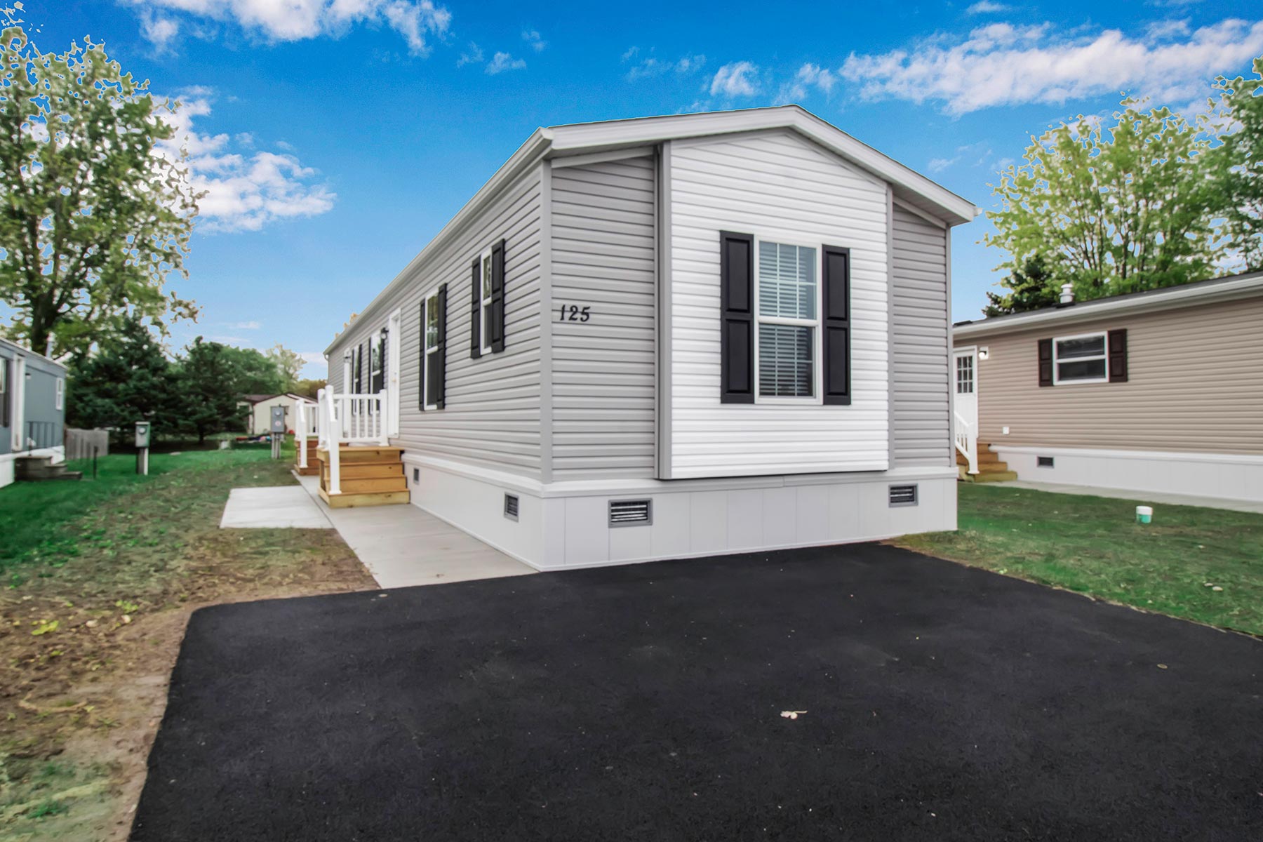 Plant on Bay To Eave